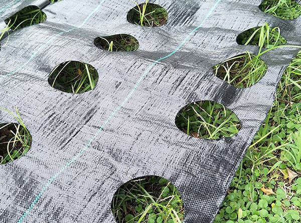 Weed Mat With Holes