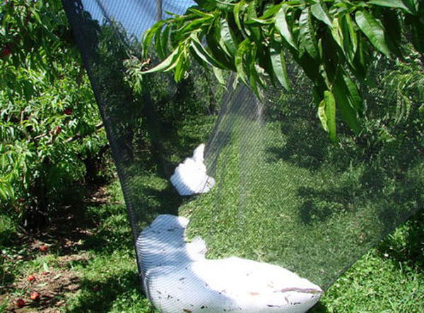 Diamond Hail Netting