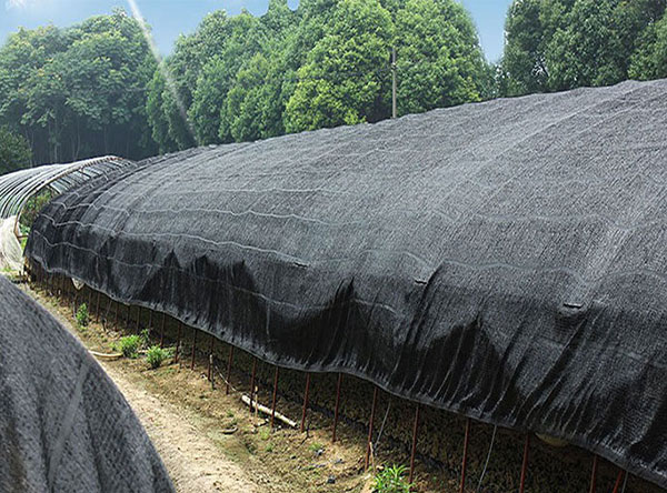 Raschel Sun Shade Netting