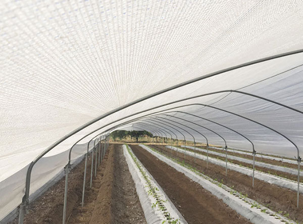 Horticulture Shade Cloth Nets