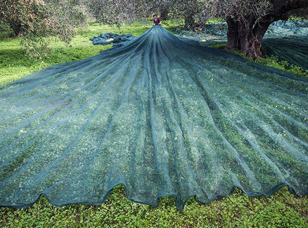 Hdpe Knitted Mesh Netting