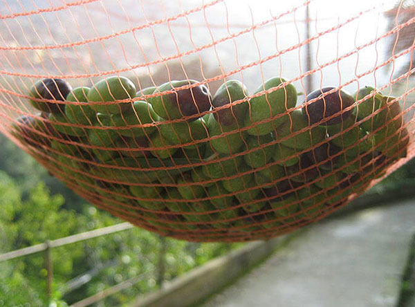 HDPE Harvest Nets