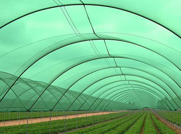 Plant Protect Shade Nets